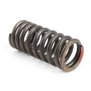 Wewnętrzna sprężyna zaworowa Kayo K2