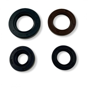 Uszczelniacze silnika - komplet 120 MRF