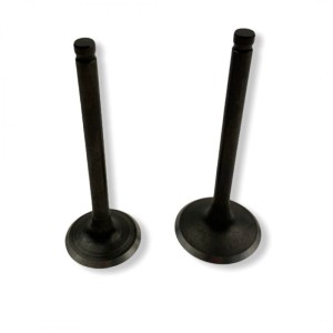 Zawory komplet (2 szt.) pitbike 120 MRF