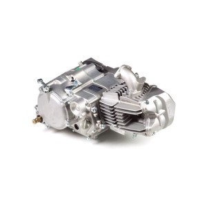 Silnik 190 FSM Anima Daytona