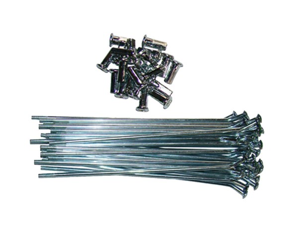 Szprychy 14' - 15,2 cm (32 szt.) YCF