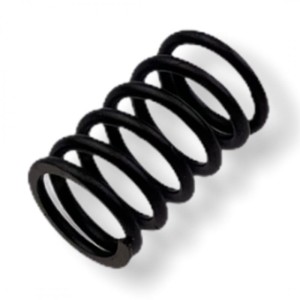 Sprężyna zaworowa YCF50