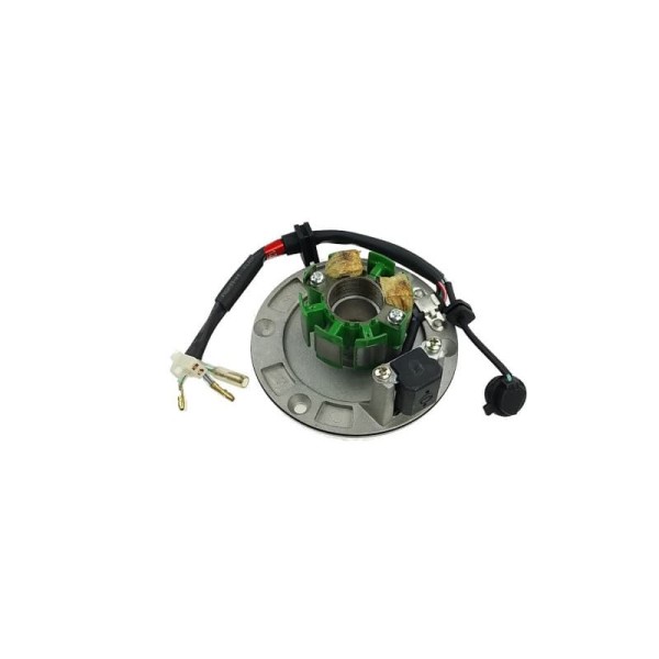 Stator i magneto ZS YCF