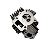 Głowica 50 pitbike Kayo