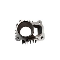 Cylinder 50 pitbike Kayo