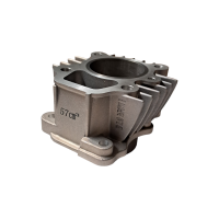 Cylinder 50 pitbike Kayo