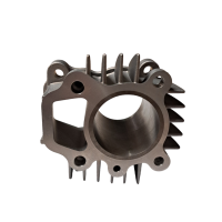 Cylinder 50 pitbike Kayo