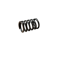 Sprężyny zaworowe 50 pitbike Kayo