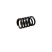 Sprężyny zaworowe 50 pitbike Kayo