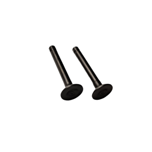 Zawory 50 pitbike Kayo