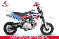 MRF 80 RUnner - motocyklepitbike.pl-3.jpg