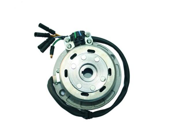 Stator i magneto lekkie YCF