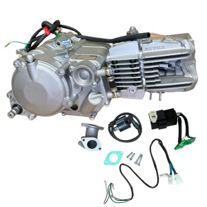 Silnik 190 cm3 Anima Daytona 4v 5-biegów FSM YCF