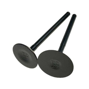 Zawory komplet Z190 pitbike Kayo