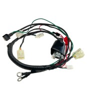 Wiązka przewodów 125/140 (modele enduro) PitGang