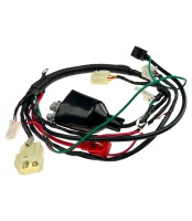 Wiązka przewodów 125/140 (modele enduro) PitGang