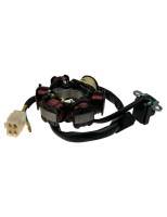 Stator 6-cewek pitbike Z190 MRF