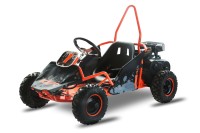 Buggy Kayo S70