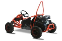 Buggy Kayo S70
