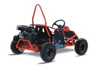 Buggy Kayo S70