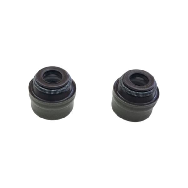 Uszczelniacze zaworowe ZS300 dirt bike Kayo