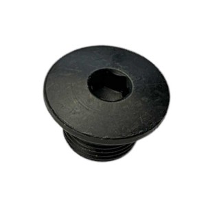 Śruba głowicy M14x1 ZS300 dirt bike Kayo