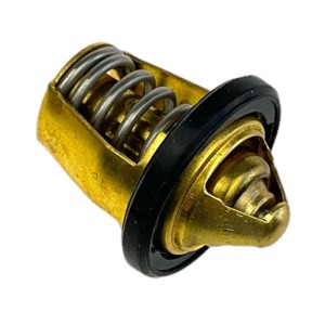 Termostat ZS300 dirt bike Kayo