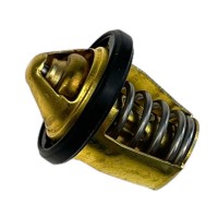 Termostat ZS300 dirt bike Kayo