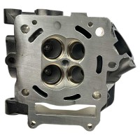 Głowica goła ZS300 dirt bike Kayo