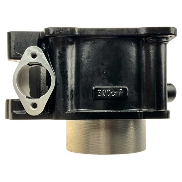 Cylinder ZS300 dirt bike Kayo