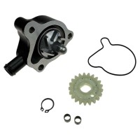 Pompa wody ZS300 dirt bike Kayo