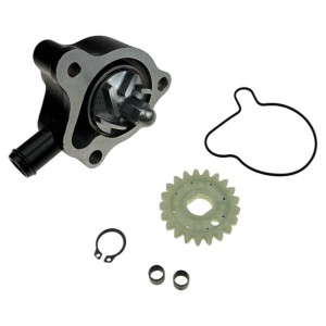 Pompa wody ZS300 dirt bike Kayo