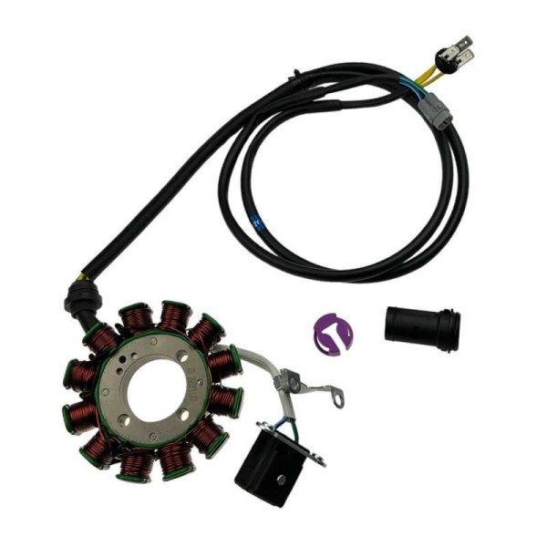 Stator ZS300 dirt bike Kayo