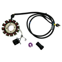 Stator ZS300 dirt bike Kayo