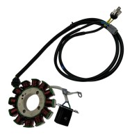 Stator ZS300 dirt bike Kayo