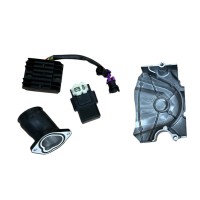 Silnik ZS 300 cm3 dirt bike K5 Kayo