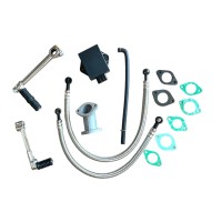 Silnik Z155 z przewodami chłodnicy pitbike Kayo