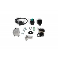 Silnik 50 automatyczny z rozrusznikiem dolnym pitbike Kayo