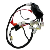 Wiązka przewodów quad AT125 KAYO