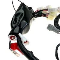 Wiązka przewodów quad AT125 KAYO