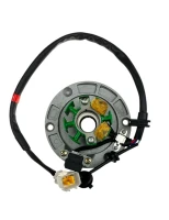 Stator pitbike ZS125-G YCF