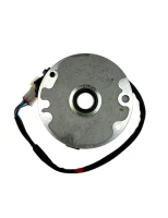 Stator pitbike ZS125-G YCF