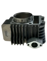 Cylinder pitbike ZS150/ZS155-G YCF