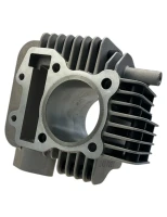 Cylinder pitbike ZS150/ZS155-G YCF