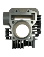 Cylinder pitbike ZS150/ZS155-G YCF