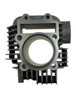 Cylinder pitbike ZS150/ZS155-G YCF