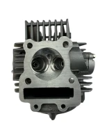 Głowica uzbrojona pitbike ZS155-G YCF