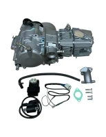 Silnik 190ccm SYS Anima pitbike Daytona