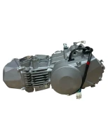 Silnik 190ccm SYS Anima pitbike Daytona