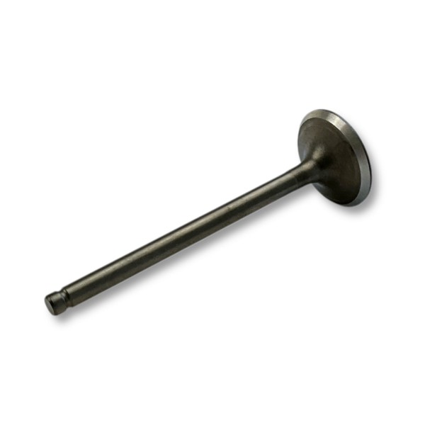 Image (19).jpg